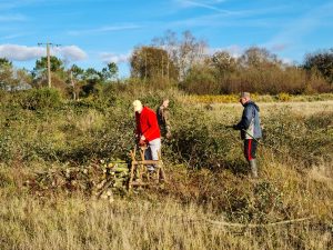Jacques, Gildas et pascal tailles un petit arbres