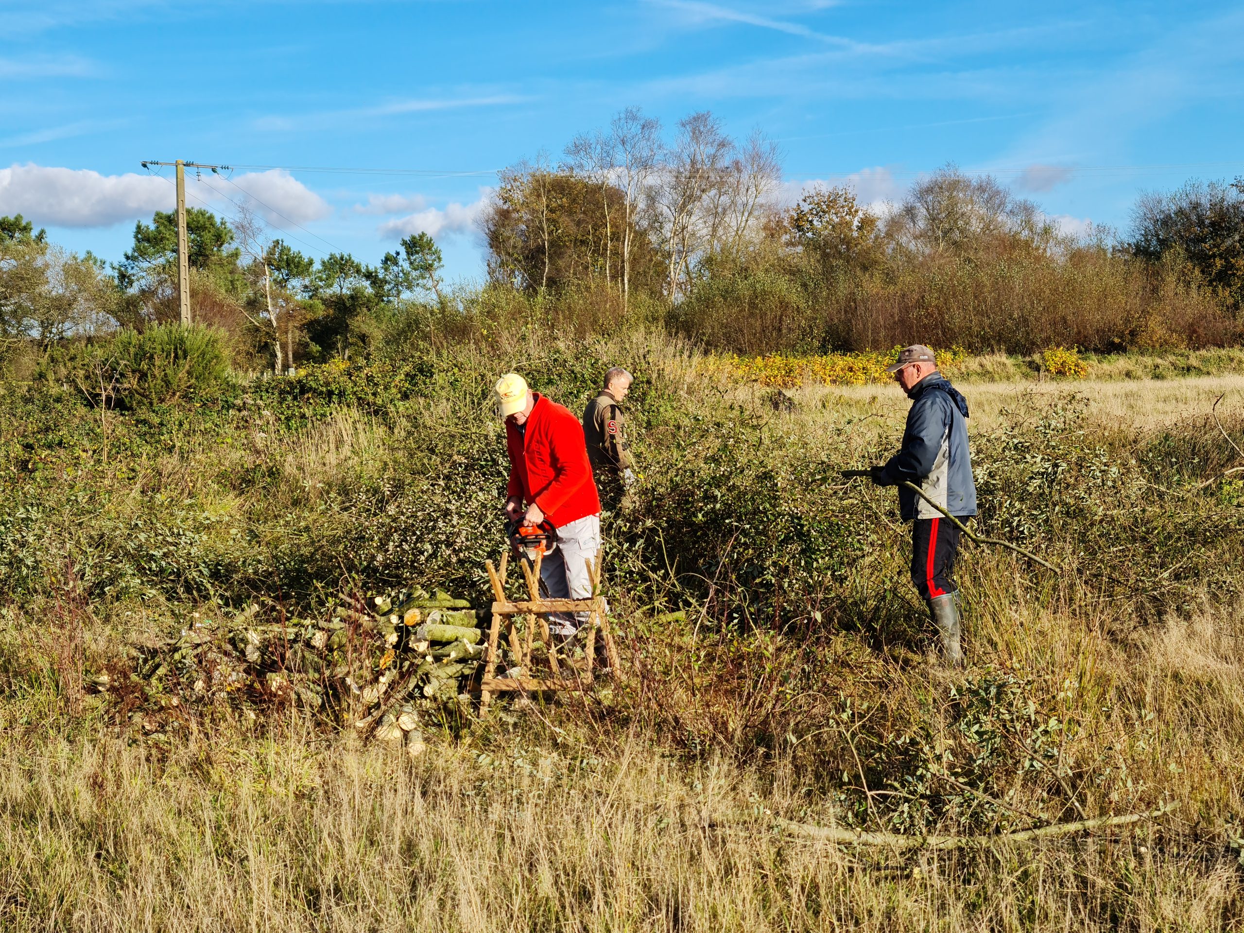 Jacques, Gildas et pascal tailles un petit arbres
