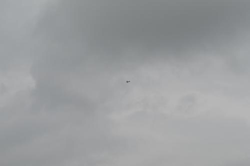 DSC 0007