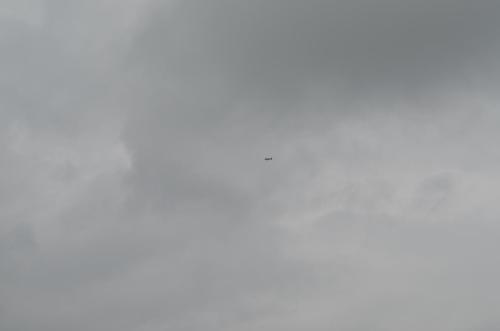DSC 0008