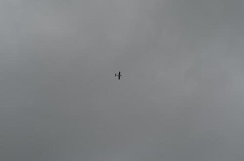 DSC 0012