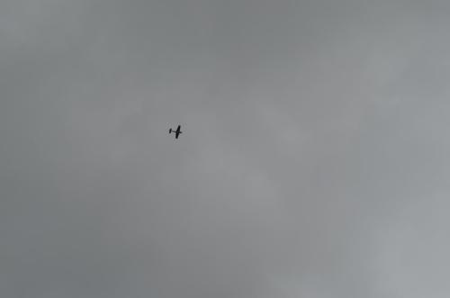 DSC 0013