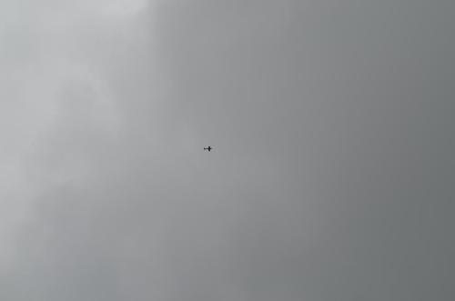 DSC 0016 (1)