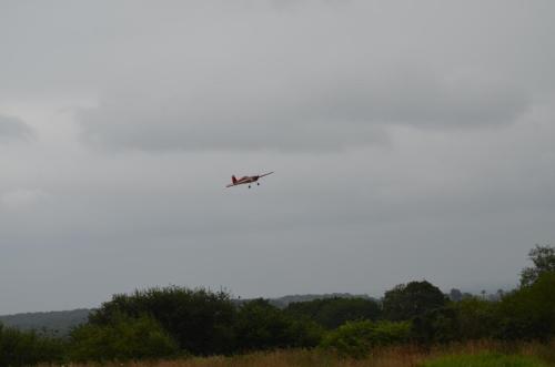 DSC 0020 (1)
