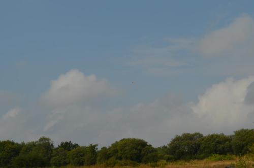 DSC 0036