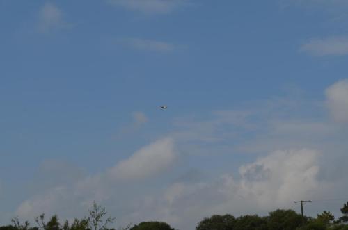 DSC 0047 (1)