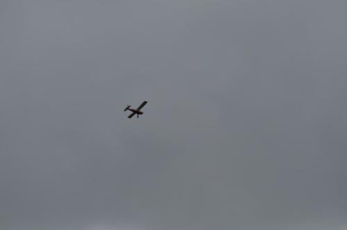 DSC 0888