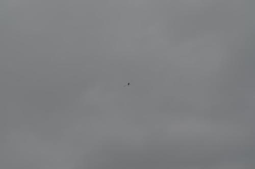 DSC 0907