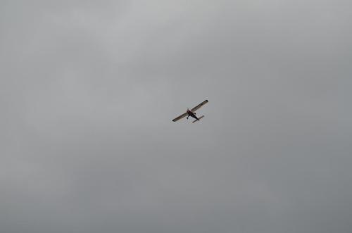 DSC 0920