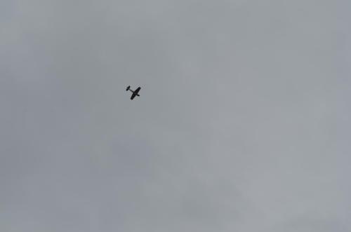 DSC 0979